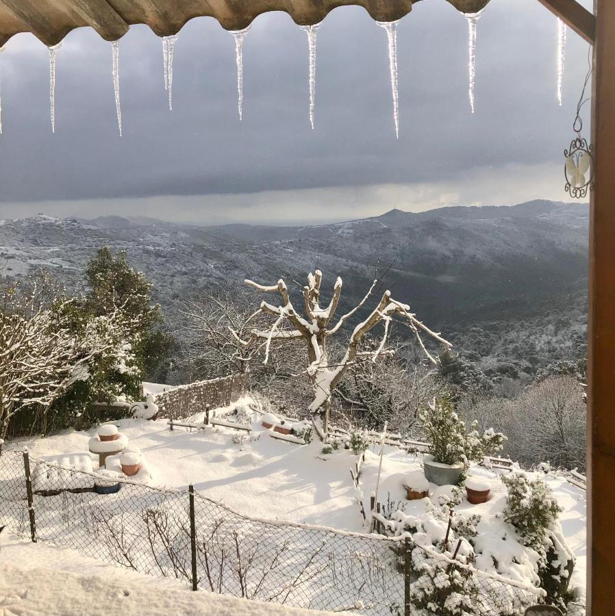 U Vechju Fragnu Apartment Vezzani Luaran gambar